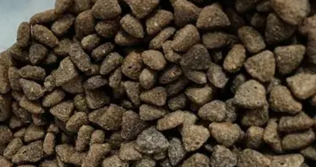 Orijen渴望猫粮测评，究竟好不好？