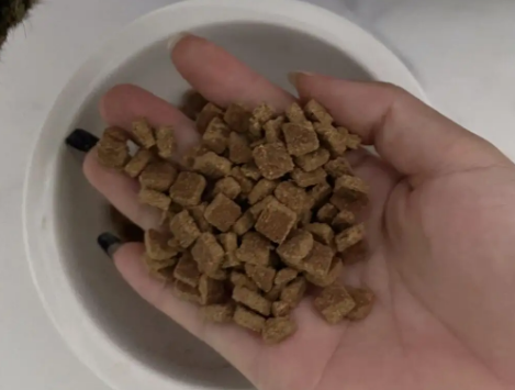 宠物嘻嘻猫粮怎么样？来看看吧