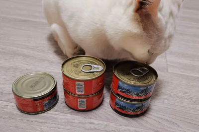 皇家搭档猫罐头怎么样?不妨来看看吧 皇家搭档猫罐头怎么样?不妨来看看吧