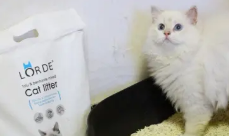 里兜猫砂!养猫三年呕心沥血的强烈推荐! 里兜猫砂!养猫三年呕心沥血的强烈推荐!