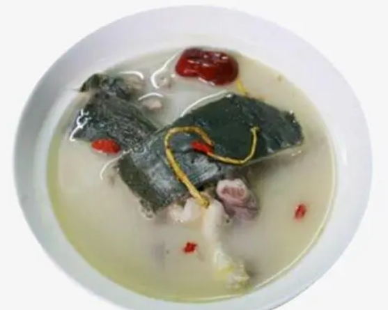 甲鱼汤的功效与作用 甲鱼汤的功效与作用