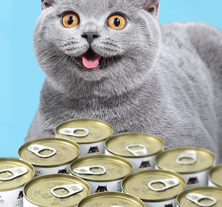 你们说，petstwo猫罐头怎么样？
