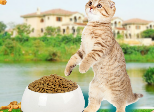萌宗猫粮好吗?不妨来看看吧 萌宗猫粮好吗?不妨来看看吧