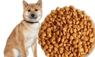 如何让柴犬爱吃狗粮不咬人啊 如何让柴犬爱吃狗粮不咬人啊