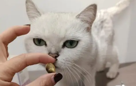 鱼油推荐‖倍澳至臻进口鱼油