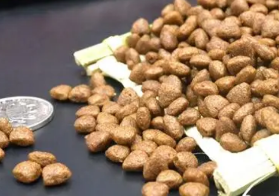 德尔菲特狗粮：一款值得信赖的高质量狗粮