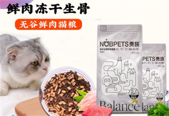 猫享猫粮可以长期吃吗?价格贵吗! 猫享猫粮可以长期吃吗?价格贵吗!