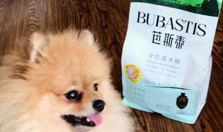 芭斯泰是什么牌子 芭斯泰是什么牌子