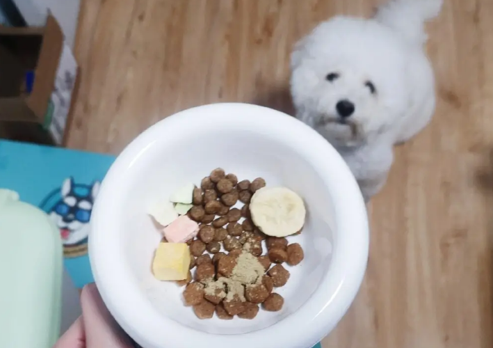 比熊狗粮如何消毒呢 比熊狗粮如何消毒呢