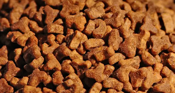 溢翠园狗粮:为爱犬提供全面营养的优质选择 溢翠园狗粮:为爱犬提供全面营养的优质选择