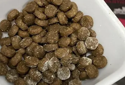 纽罗猫粮怎么样？好不好？