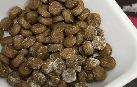 宠王府低温烘培猫粮如何