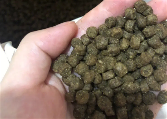 国产猫粮如何选？泰宠猫粮就很不错！