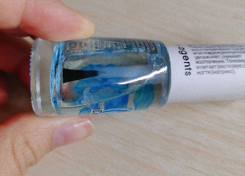 俄罗斯田园猫是品牌么