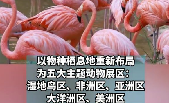 武汉动物园让动物成为动物园的主人