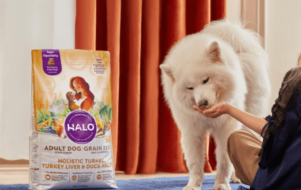 Halo自然光环中国六周年：守护每位毛孩子的食品安全