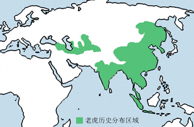 “从院子里搜出一只老虎”！背后是全球圈养虎数量远超野生虎