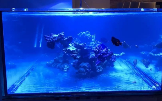 海享说鱼缸怎么样？不妨来看看吧