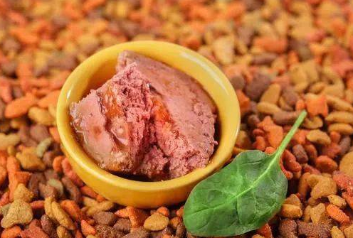 中源宠物食品好不好?一文告诉你 中源宠物食品好不好?一文告诉你