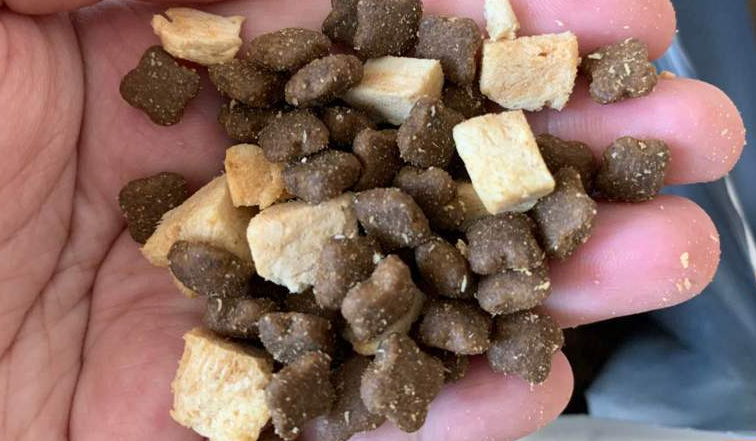 宠仔猫粮质量好吗 宠仔猫粮质量好吗
