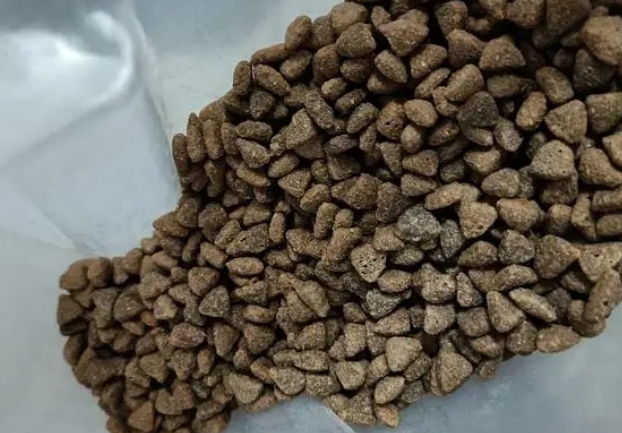 宠之鲜猫粮怎么样好吃吗 宠之鲜猫粮怎么样好吃吗