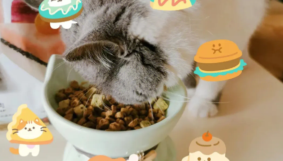 宠王猫粮怎么样 宠王猫粮怎么样