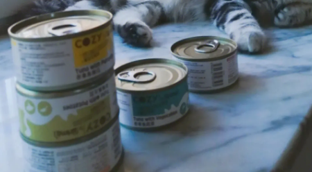 一文详解：佰慕猫罐头怎么样？