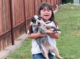 当小主人找到丢失的爱犬时,这个重逢的画面太好哭了! 当小主人找到丢失的爱犬时,这个重逢的画面太好哭了!