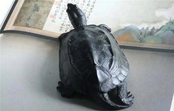 黑腹墨龟一公三母 黑腹墨龟一公三母