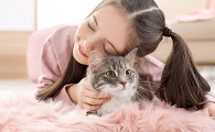 猫咪为什么像小女孩