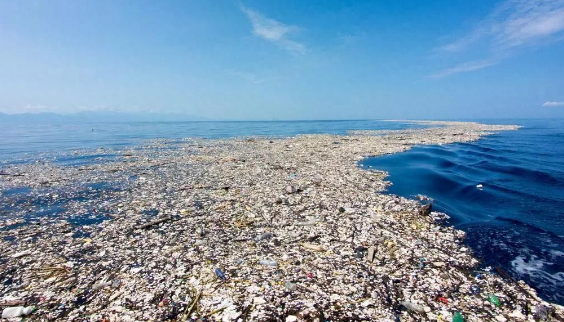 人类每年制造大量的塑料垃圾，有没有进化出可以分解塑料的生物？