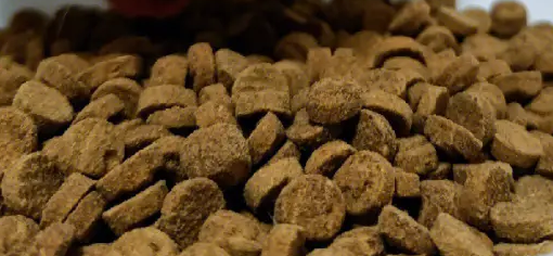 贝特鲱猫粮能买吗 贝特鲱猫粮能买吗