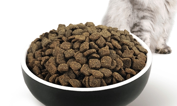 倍琪猫粮适口性好不好 倍琪猫粮适口性好不好