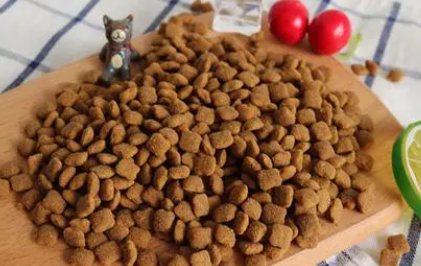 纽罗猫粮：打造猫咪健康饮食新标杆