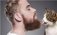 猫咪为什么没男人追求呢