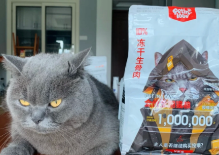 宠仔猫粮怎么样