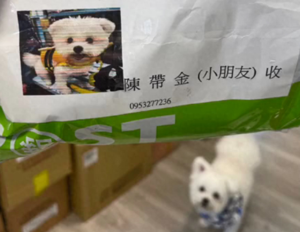 快递员送包裹遇到没见过的名字，狗子听到立马跑出来