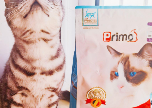 佰慕猫粮怎么样？来看看吧