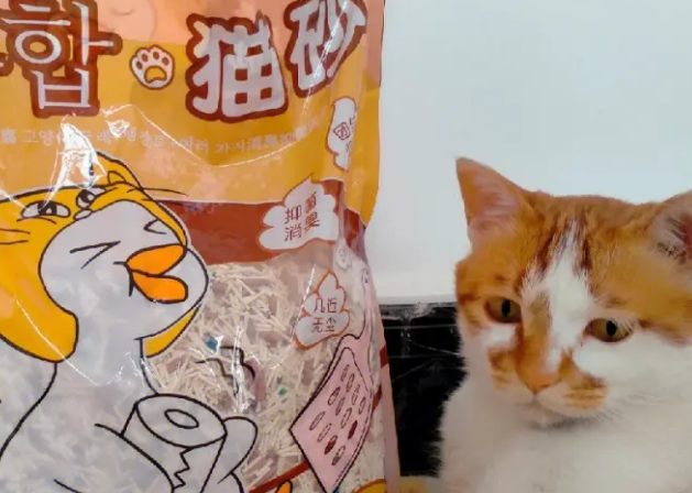 Niya妮吖猫砂：一款备受推崇的猫砂