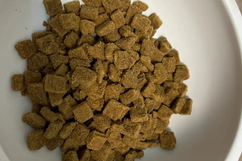 奥菲特猫粮好不好
