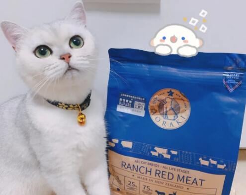 详细介绍云顶星猫粮的特点 详细介绍云顶星猫粮的特点