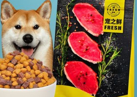 宠之鲜狗粮怎么样