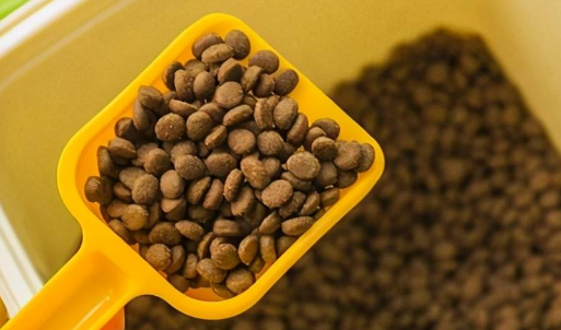 宠爱相伴猫粮质量如何 宠爱相伴猫粮质量如何