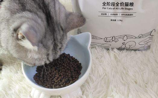 倍琪猫粮是什么牌子