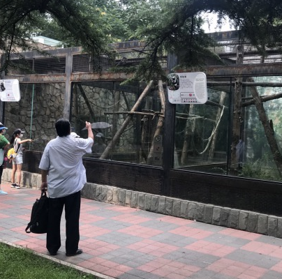 北京动物园溪流景观设警示牌 游客投喂多格特青长尾猴屡禁不止