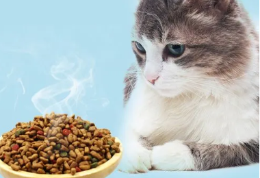 皇家公爵猫粮跟派派猫粮哪个好