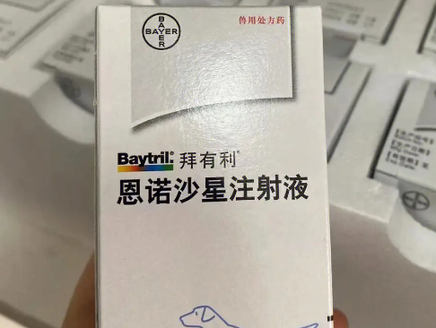 拜有利宠物药的作用有哪些？不妨来看看吧