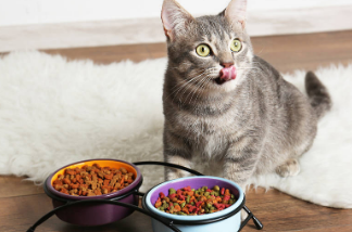 爱斯塔猫粮配料