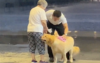 老奶奶牵着狗突遇大雨，商场保安热心招呼躲雨，还用毛巾帮狗擦干