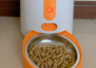 宠物喂食器有用吗?来了解下吧 宠物喂食器有用吗?来了解下吧